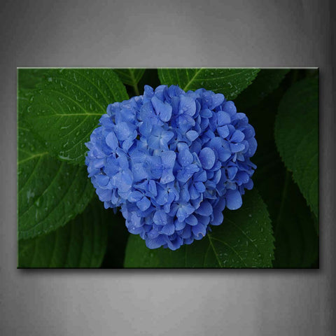 A Ball Of Blue Flowers Wall Art Painting The Picture Print On Canvas Flower Pictures For Home Decor Decoration Gift 