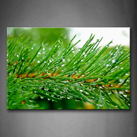 Water Drops On Pine Tree Leaves Wall Art Painting The Picture Print On Canvas Botanical Pictures For Home Decor Decoration Gift 