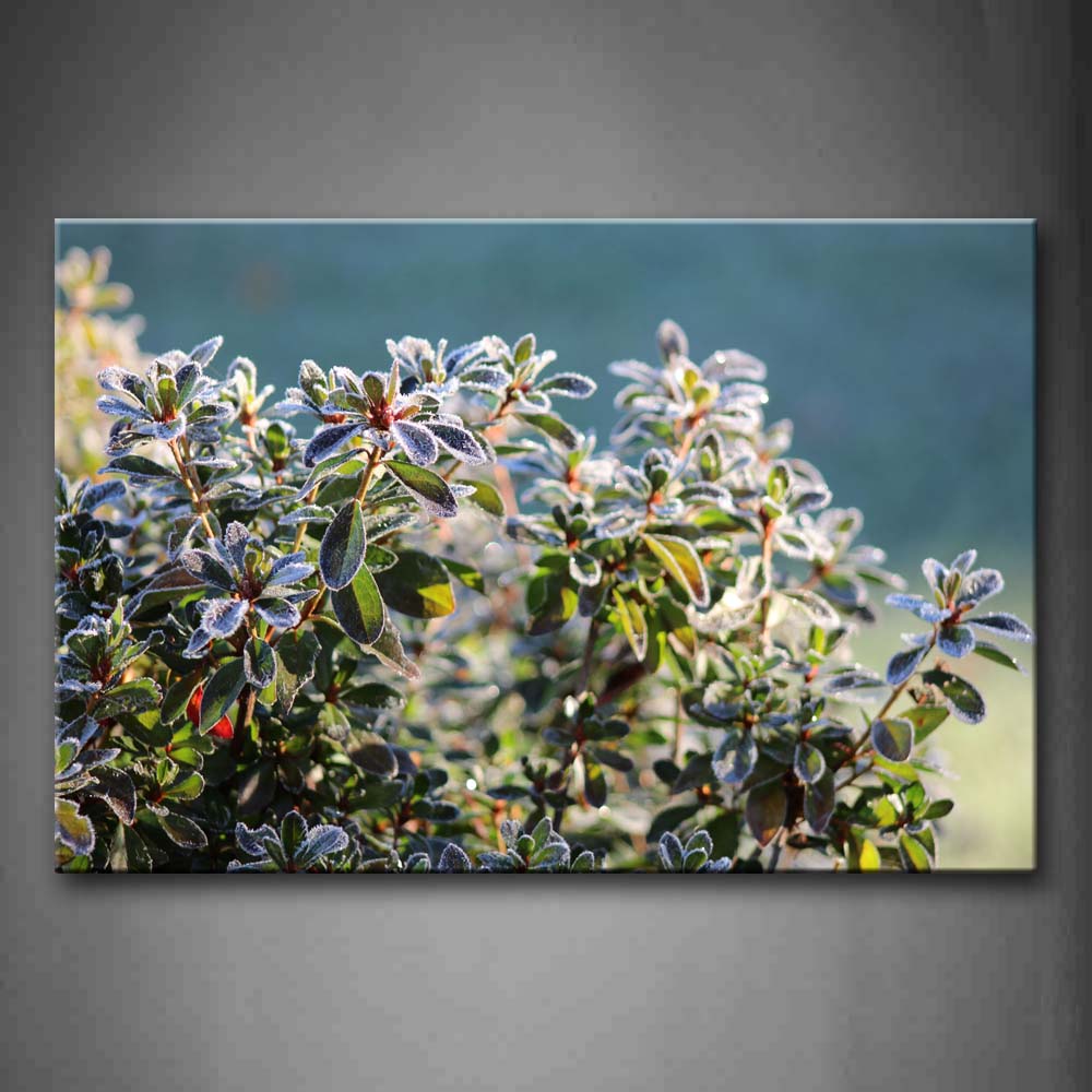 Plants Like Mamedicine Wall Art Painting The Picture Print On Canvas Botanical Pictures For Home Decor Decoration Gift 