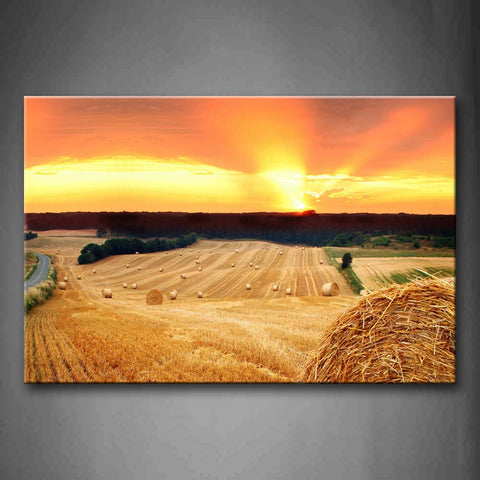 Golden Field And Sunset Wall Art Painting Pictures Print On Canvas Seascape The Picture For Home Modern Decoration 