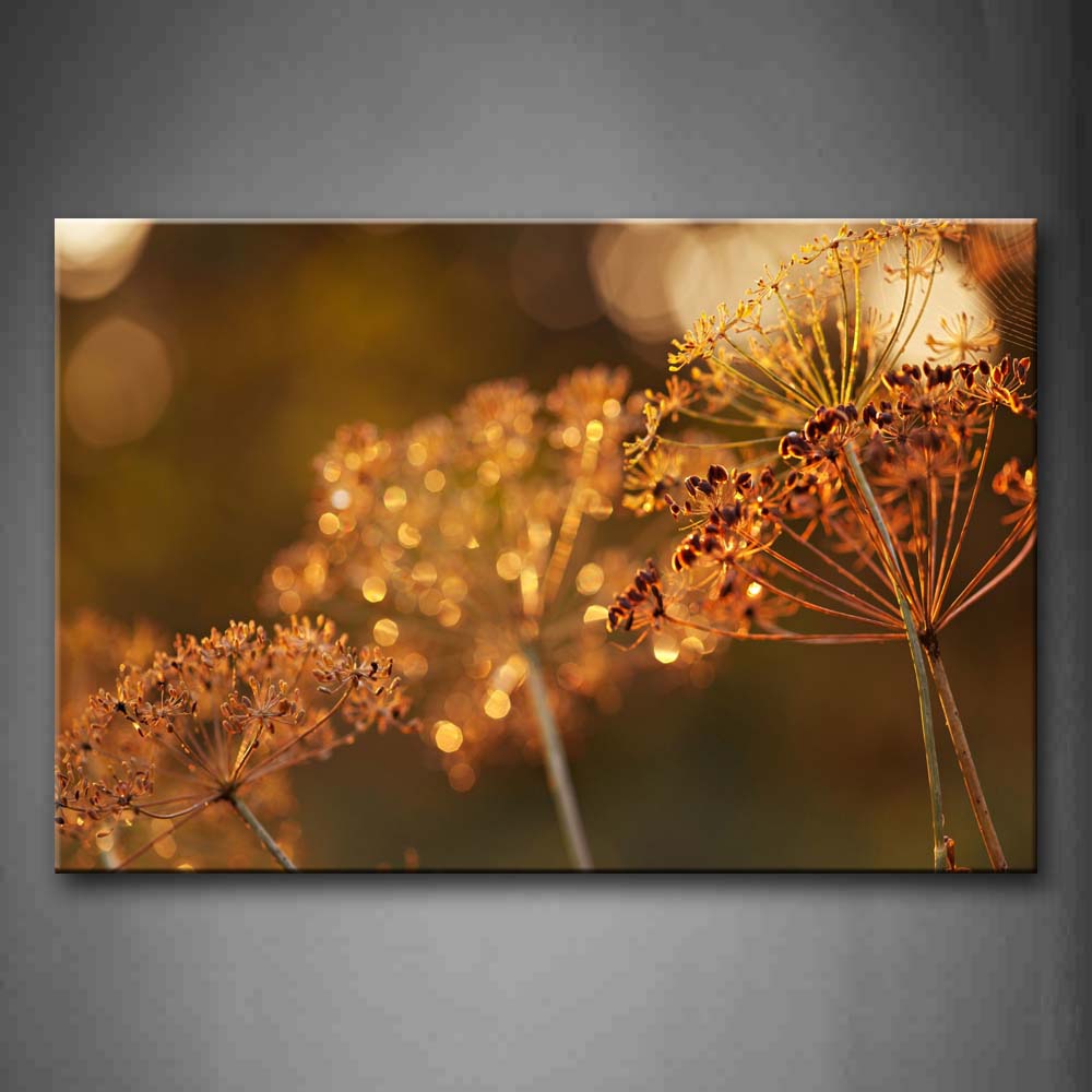 Plants In Amber Wall Art Painting Pictures Print On Canvas Botanical The Picture For Home Modern Decoration 