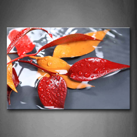 Water Drops On Red And Orannge Leaves Wall Art Painting Pictures Print On Canvas Botanical The Picture For Home Modern Decoration 