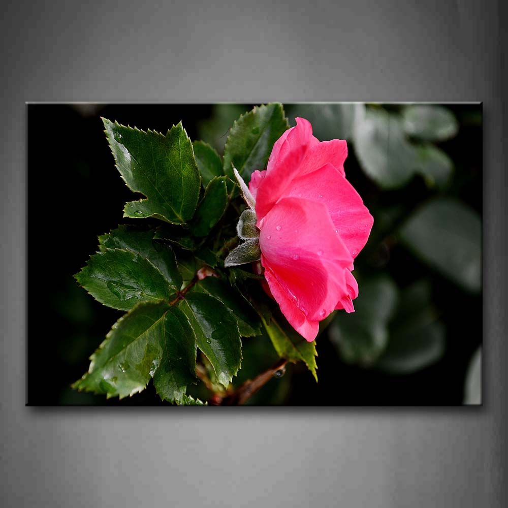 Pink Rose And Fresh Leaves Wall Art Painting The Picture Print On Canvas Botanical Pictures For Home Decor Decoration Gift 