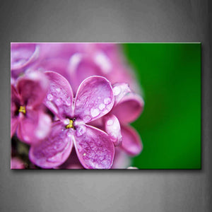 Pink Lilac With Drop Water Wall Art Painting The Picture Print On Canvas Flower Pictures For Home Decor Decoration Gift 