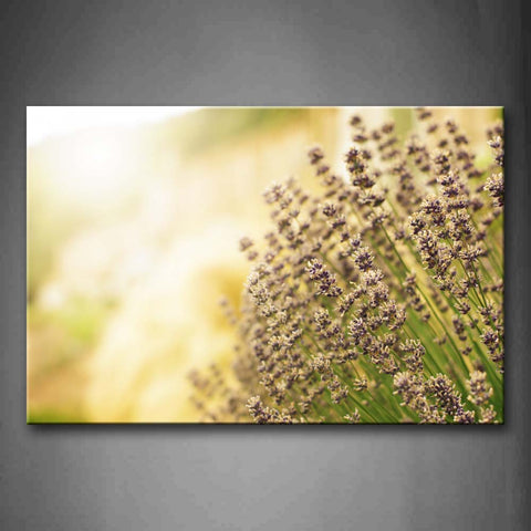 Lavender Field With Sunlight Wall Art Painting Pictures Print On Canvas Flower The Picture For Home Modern Decoration 