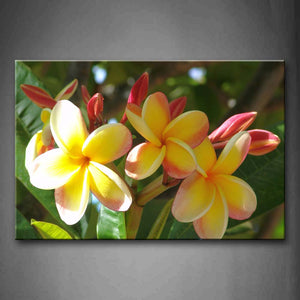 Frangipani Yellow Petal In Bushes Wall Art Painting Pictures Print On Canvas Flower The Picture For Home Modern Decoration 