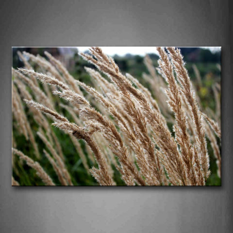 Brown Tall Grass  Wall Art Painting The Picture Print On Canvas Botanical Pictures For Home Decor Decoration Gift 