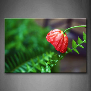 Red Poppy In Bushes Wall Art Painting Pictures Print On Canvas Botanical The Picture For Home Modern Decoration 