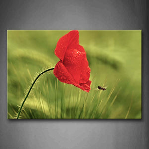 Poppy Red Petal With Flu And Water Drop Wall Art Painting The Picture Print On Canvas Flower Pictures For Home Decor Decoration Gift 