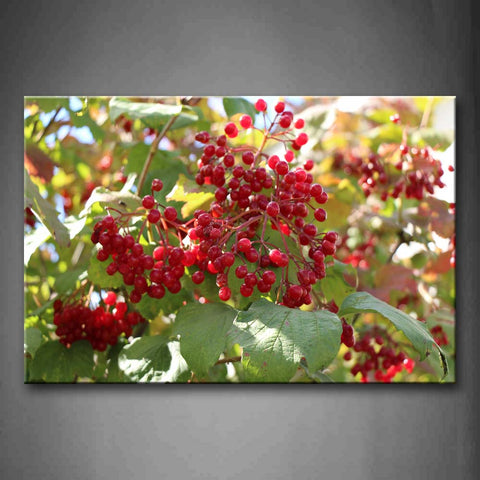 Red Fruit With Green Leaf Wall Art Painting Pictures Print On Canvas Flower The Picture For Home Modern Decoration 