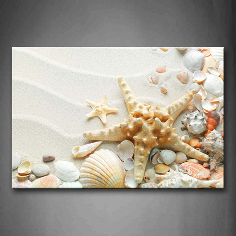 Colors Shell Starfish In Sand Wall Art Painting Pictures Print On Canvas Art The Picture For Home Modern Decoration 