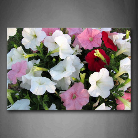 Colorful Flower Crowd Wall Art Painting The Picture Print On Canvas Flower Pictures For Home Decor Decoration Gift 