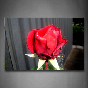 Red Flower Little Withered With Spider Web Wall Art Painting The Picture Print On Canvas Flower Pictures For Home Decor Decoration Gift 