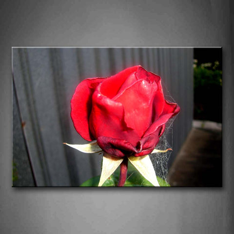 Red Flower Little Withered With Spider Web Wall Art Painting The Picture Print On Canvas Flower Pictures For Home Decor Decoration Gift 