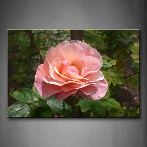Pink Rose With Green Leaf Wall Art Painting The Picture Print On Canvas Flower Pictures For Home Decor Decoration Gift 
