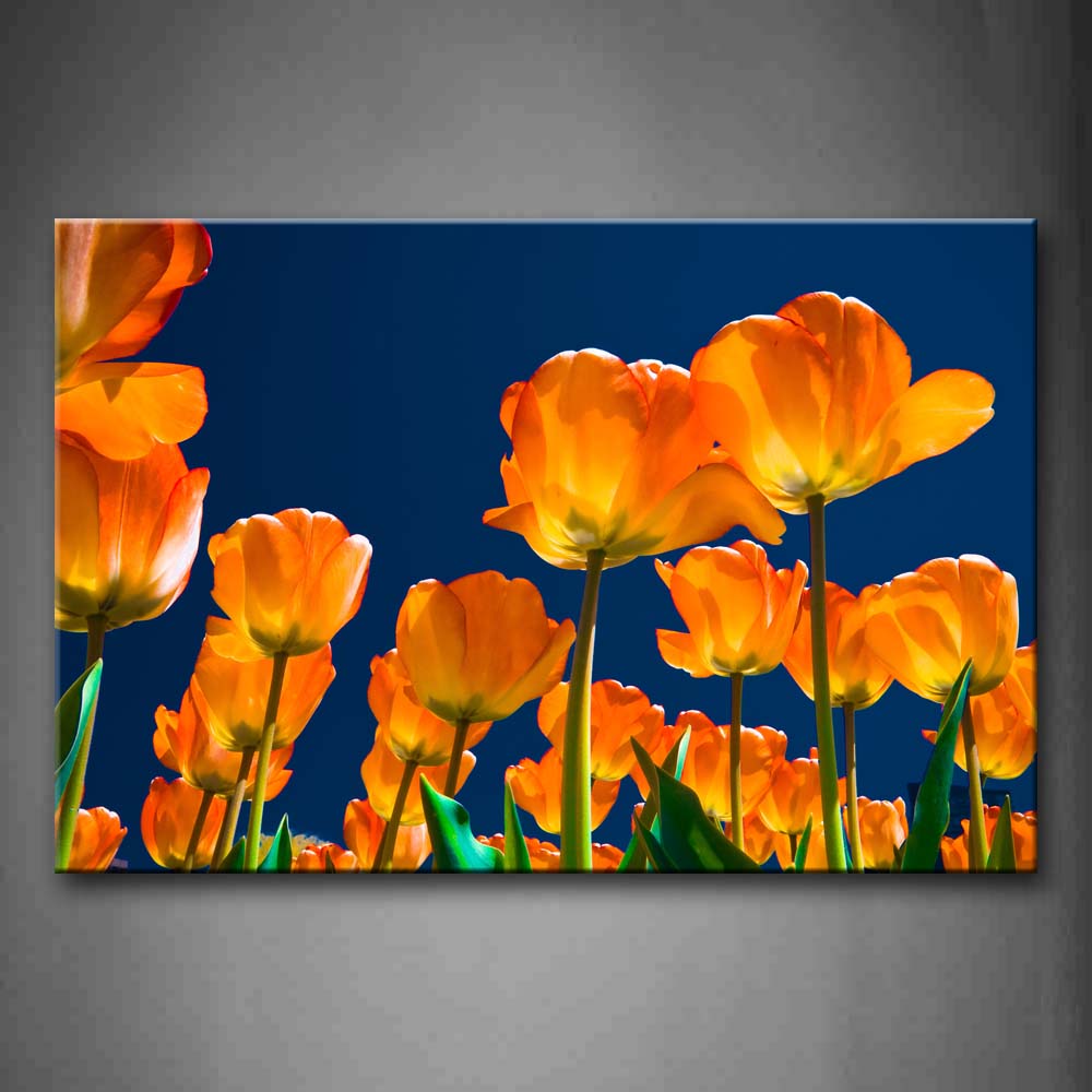 Yellow Orange Orange Flower Field Under Blue Sky Wall Art Painting Pictures Print On Canvas Flower The Picture For Home Modern Decoration 