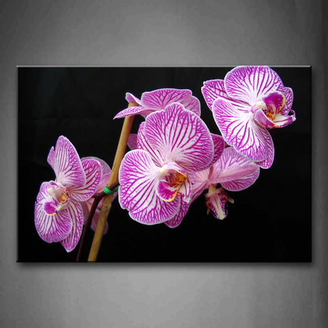 Pink White Orchid With Purple  Stripe Wall Art Painting The Picture Print On Canvas Flower Pictures For Home Decor Decoration Gift 