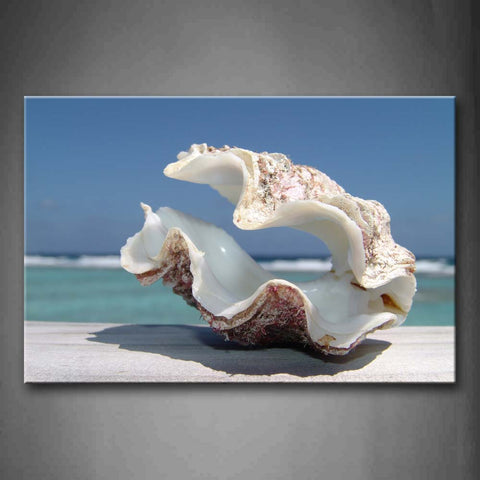 Shell Open Mouth In Beach Wall Art Painting Pictures Print On Canvas Seascape The Picture For Home Modern Decoration 