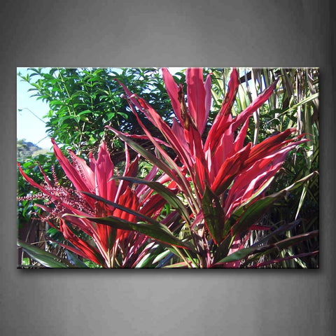 Flower With Long Red Petal In Bushes Wall Art Painting The Picture Print On Canvas Flower Pictures For Home Decor Decoration Gift 