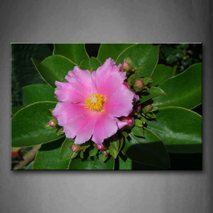 Flower Pink Petal Yellow Stamen Green Leaf Wall Art Painting Pictures Print On Canvas Flower The Picture For Home Modern Decoration 