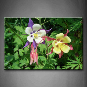Colorful Flower In Bushes Wall Art Painting The Picture Print On Canvas Flower Pictures For Home Decor Decoration Gift 