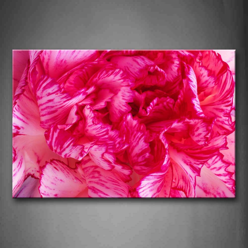 Pink Red Flower Wall Art Painting Pictures Print On Canvas Flower The Picture For Home Modern Decoration 