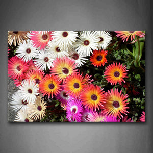 Pink Colorful Flower In Bushes Wall Art Painting The Picture Print On Canvas Flower Pictures For Home Decor Decoration Gift 
