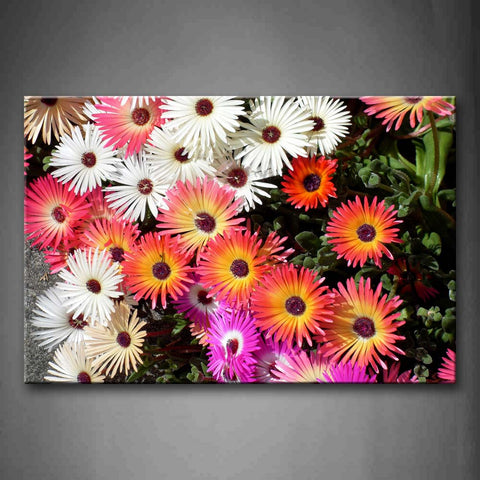 Pink Colorful Flower In Bushes Wall Art Painting The Picture Print On Canvas Flower Pictures For Home Decor Decoration Gift 