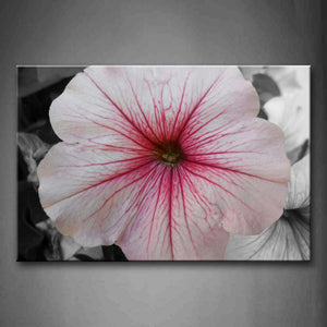 Pink Flower White Petal With Red Stripe Wall Art Painting Pictures Print On Canvas Flower The Picture For Home Modern Decoration 