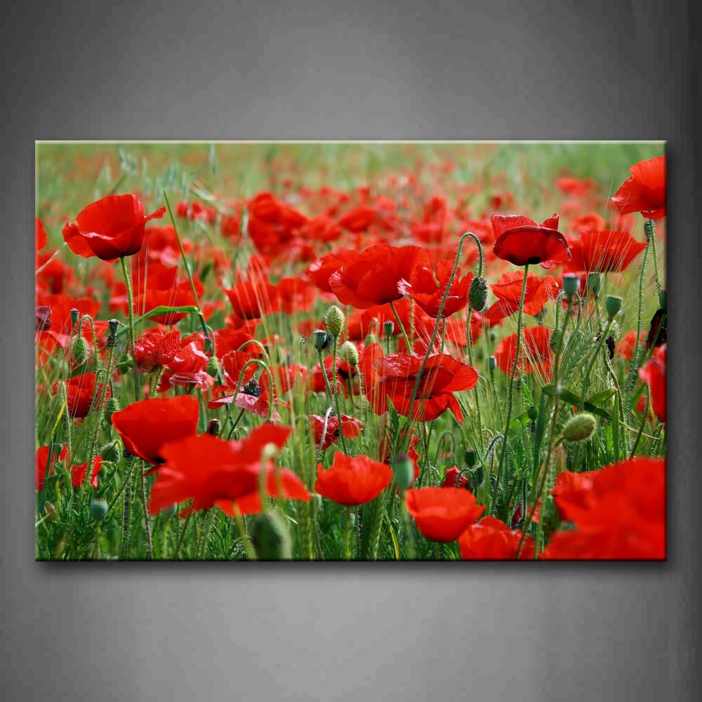Red Flower With Bud Field Wall Art Painting The Picture Print On Canvas Flower Pictures For Home Decor Decoration Gift 