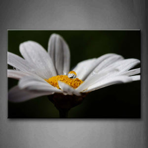 Flower White Petal Yellow Stamen Water Drop Wall Art Painting Pictures Print On Canvas Flower The Picture For Home Modern Decoration 