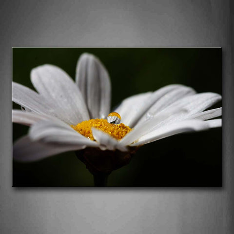 Flower White Petal Yellow Stamen Water Drop Wall Art Painting Pictures Print On Canvas Flower The Picture For Home Modern Decoration 