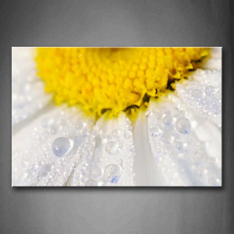 Water Drop In White Petal Yellow Stamen Wall Art Painting Pictures Print On Canvas Flower The Picture For Home Modern Decoration 