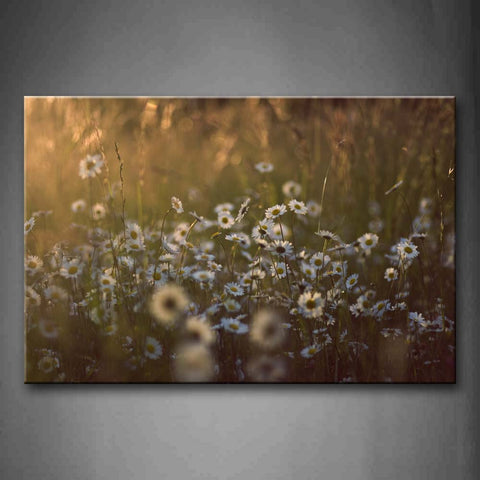 Dasiy Crowd In Bushes At Sunset Wall Art Painting The Picture Print On Canvas Flower Pictures For Home Decor Decoration Gift 