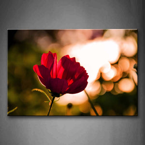 Red Flower With Sunlight Wall Art Painting Pictures Print On Canvas Flower The Picture For Home Modern Decoration 