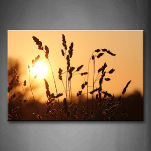 Grass At Sunset Wall Art Painting Pictures Print On Canvas Botanical The Picture For Home Modern Decoration 