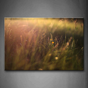 Flower In Bushes At Sunset Wall Art Painting The Picture Print On Canvas Botanical Pictures For Home Decor Decoration Gift 