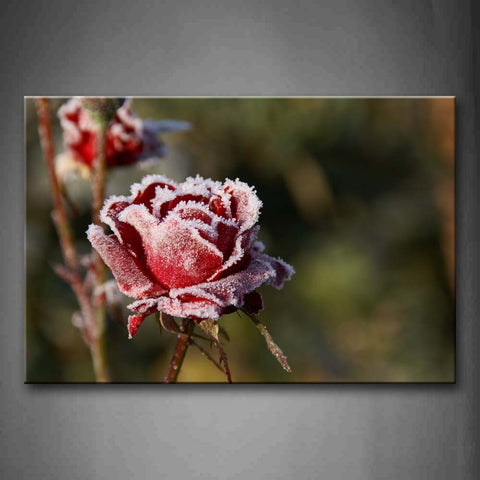 Red Rose Freeze  Wall Art Painting Pictures Print On Canvas Flower The Picture For Home Modern Decoration 