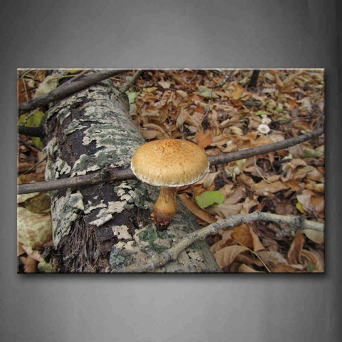 Brown Mushroom In Dead Wood Wall Art Painting Pictures Print On Canvas Botanical The Picture For Home Modern Decoration 