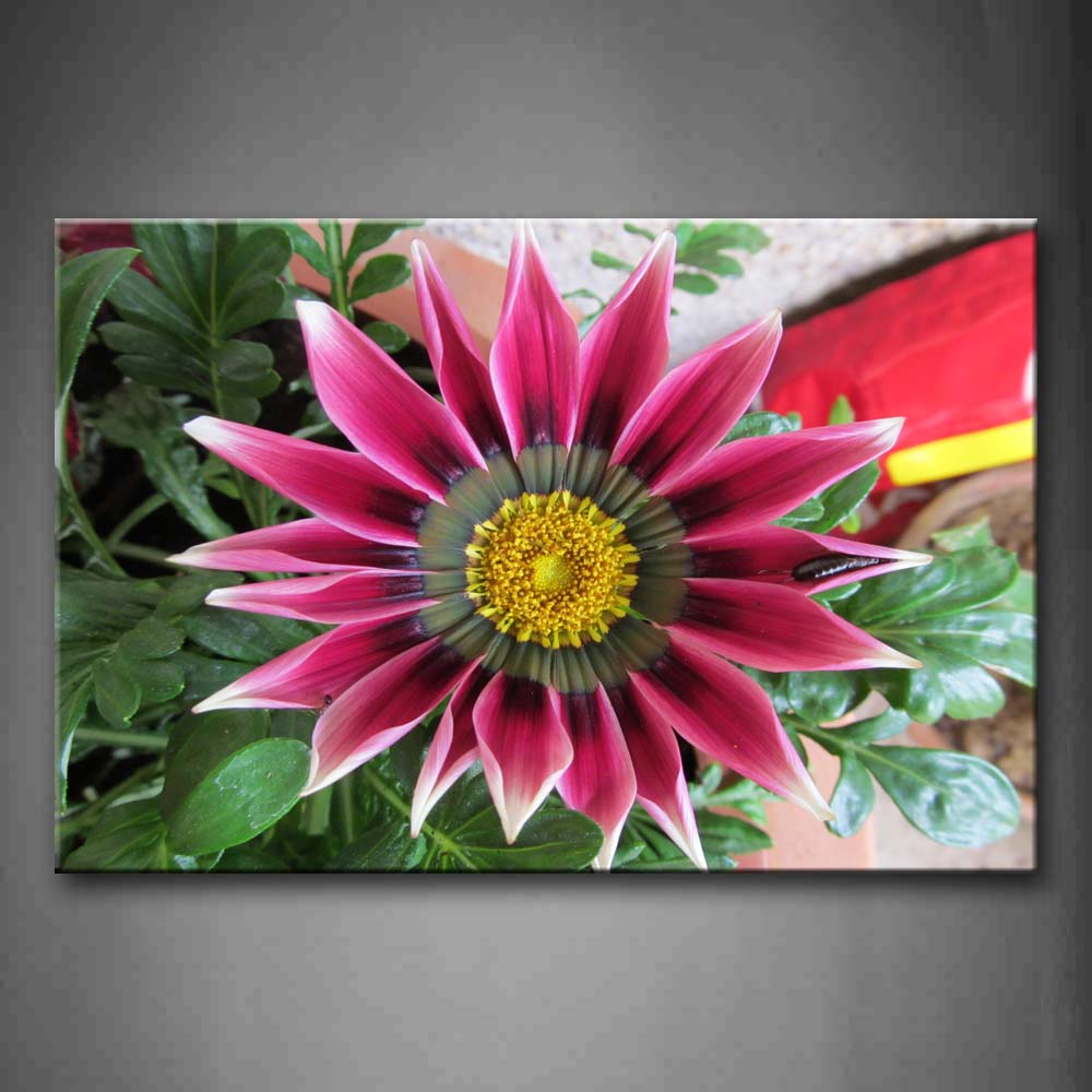 Pink Flower Red Petal Yellow Stamen Green Leaf Wall Art Painting Pictures Print On Canvas Flower The Picture For Home Modern Decoration 