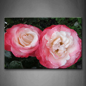White And Pink Rose Water Drop Wall Art Painting The Picture Print On Canvas Flower Pictures For Home Decor Decoration Gift 