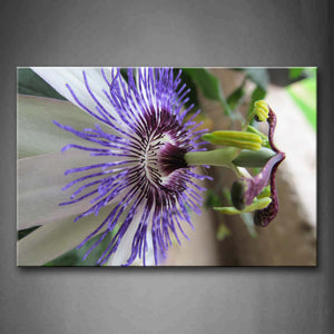 Blue Flower With White Petal  Wall Art Painting The Picture Print On Canvas Flower Pictures For Home Decor Decoration Gift 