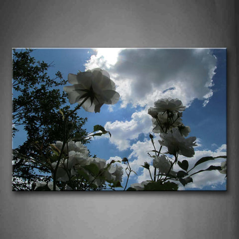 White Rose With Sunlight Cloud Wall Art Painting Pictures Print On Canvas Flower The Picture For Home Modern Decoration 