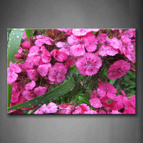 Pink Flower Petal With Water Drop Wall Art Painting Pictures Print On Canvas Flower The Picture For Home Modern Decoration 