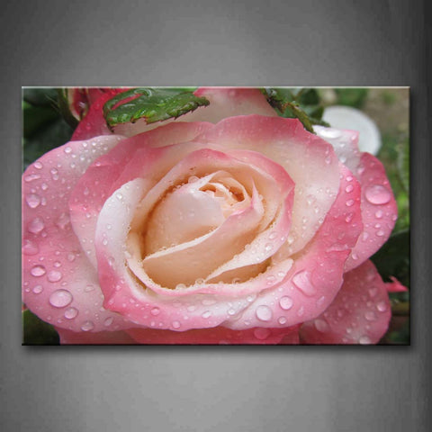 Pink Rose With Water Drop  Wall Art Painting Pictures Print On Canvas Flower The Picture For Home Modern Decoration 