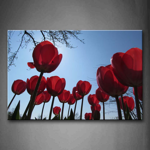 Red Tulip With Sunlight Wall Art Painting The Picture Print On Canvas Flower Pictures For Home Decor Decoration Gift 