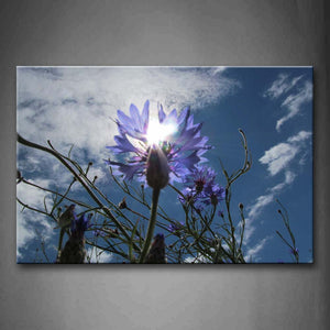 Purple Flower Petal With Sunlight Wall Art Painting Pictures Print On Canvas Flower The Picture For Home Modern Decoration 