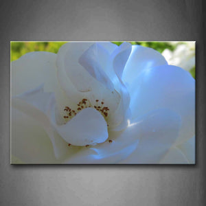 White Flower Petal Blue Light Wall Art Painting Pictures Print On Canvas Flower The Picture For Home Modern Decoration 