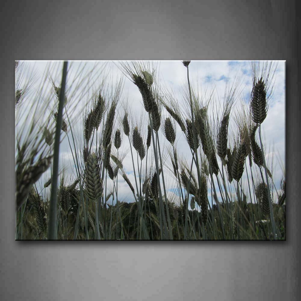 Green Wheat Field Wall Art Painting The Picture Print On Canvas Flower Pictures For Home Decor Decoration Gift 