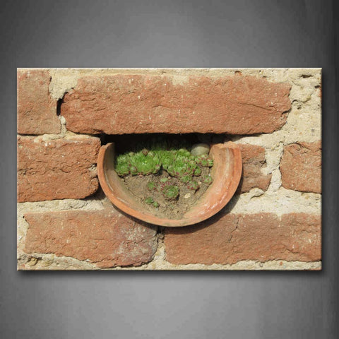 Common Green Houseleek In  Red Wall Wall Art Painting The Picture Print On Canvas Art Pictures For Home Decor Decoration Gift 
